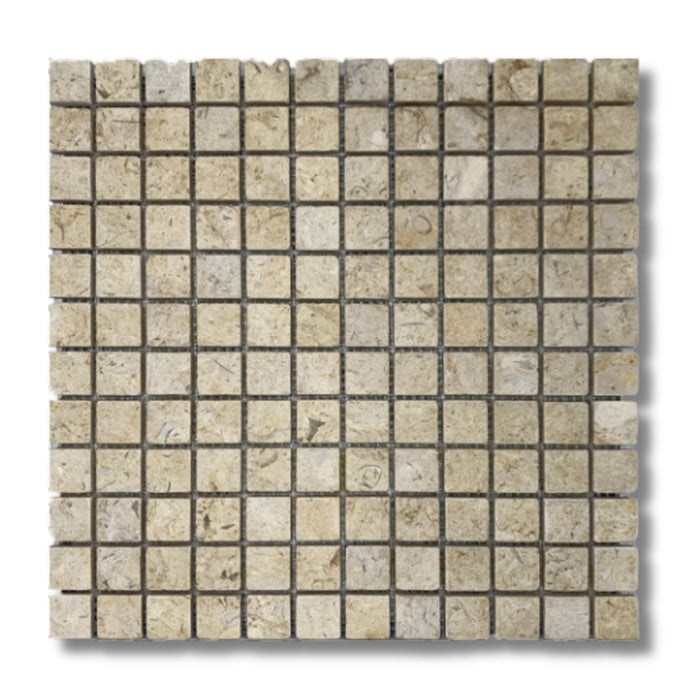 Sinai Fossil 1 x 1 Tumbled Mosaic Tile
