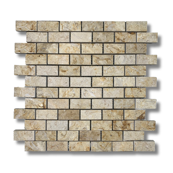 Sinai Fossil 1 x 2 Polished Mosaic Tile