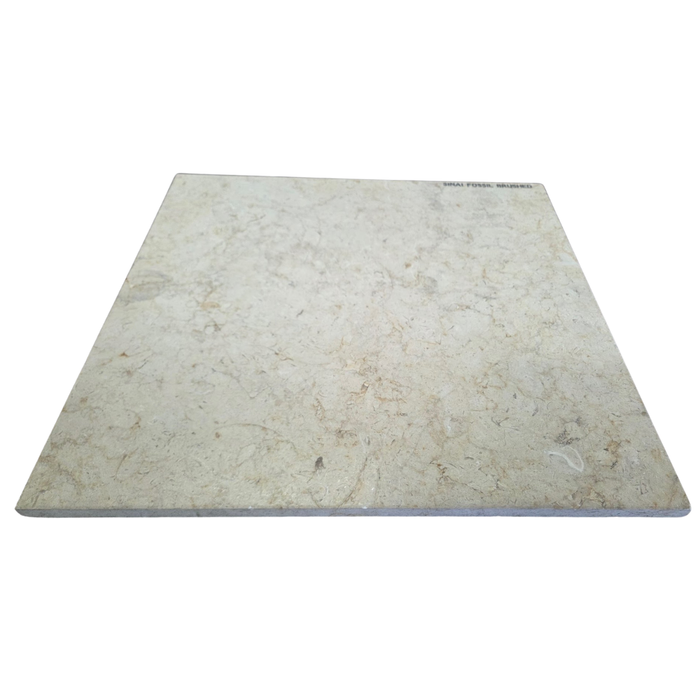 Sinai Fossil Tile 24" x24" Brushed