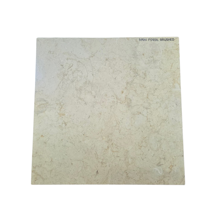 Sinai Fossil Tile 24" x24" Brushed