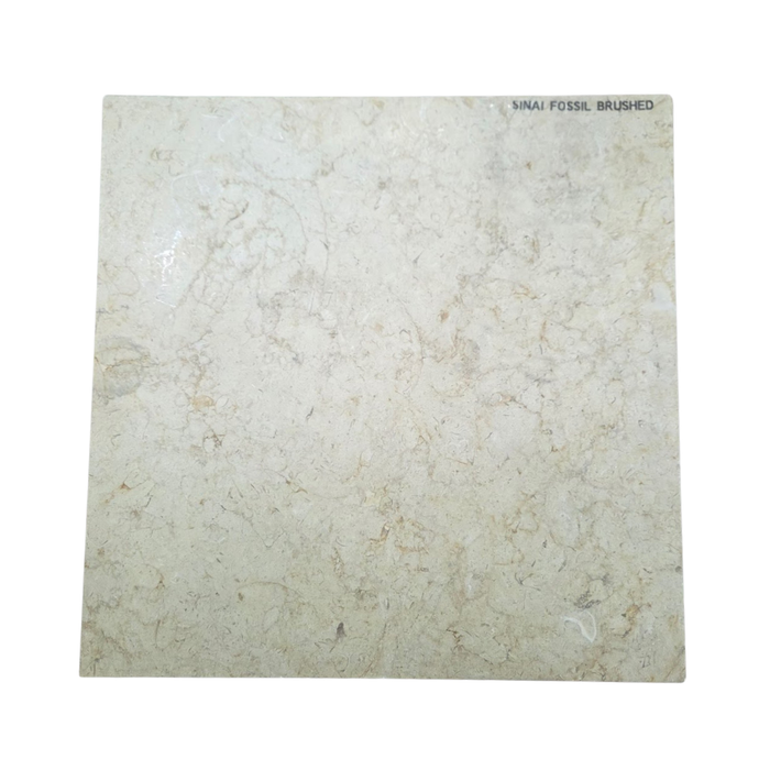 Sinai Fossil Tile 24" x24" Brushed