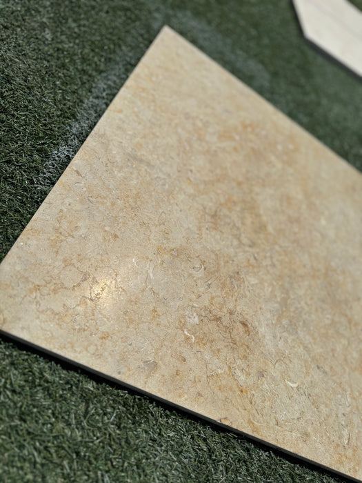 Sinai Fossil Tile 24" x24" Brushed