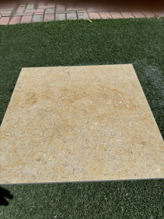 Sinai Fossil Tile 24" x24" Brushed