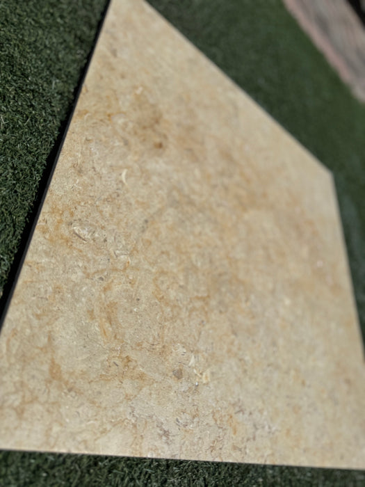 Sinai Fossil Tile 24" x24" Brushed