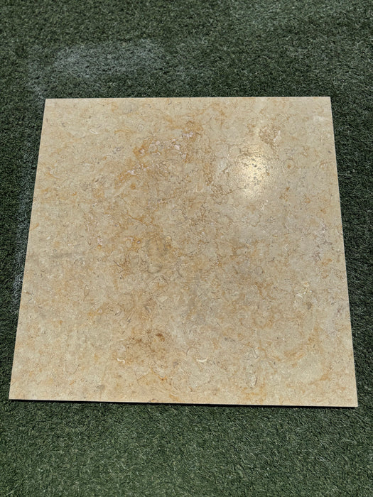 Sinai Fossil Tile 24" x24" Brushed