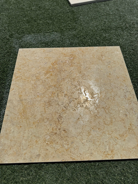 Sinai Fossil Tile 24" x24" Brushed