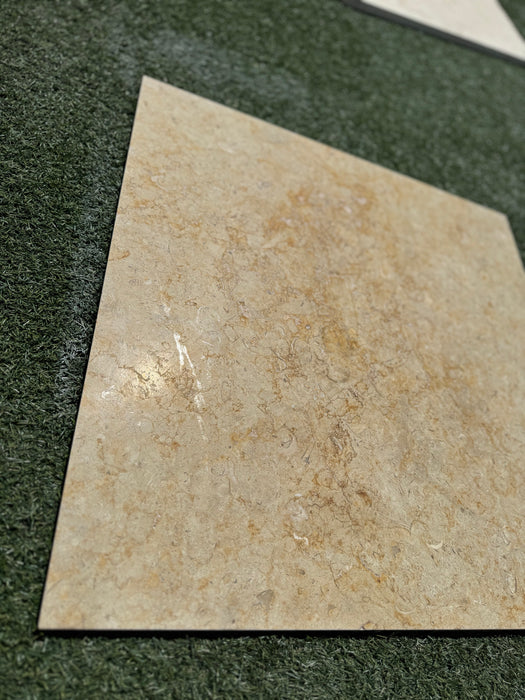 Sinai Fossil Tile 24" x24" Brushed