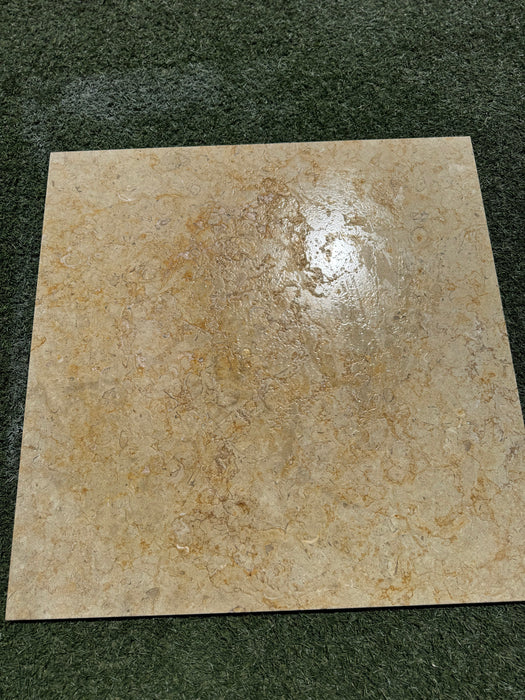 Sinai Fossil Tile 24" x24" Brushed