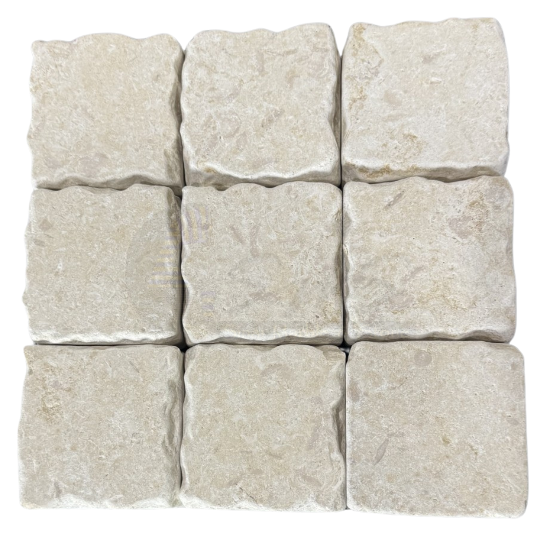 Sinai Shell Stone
