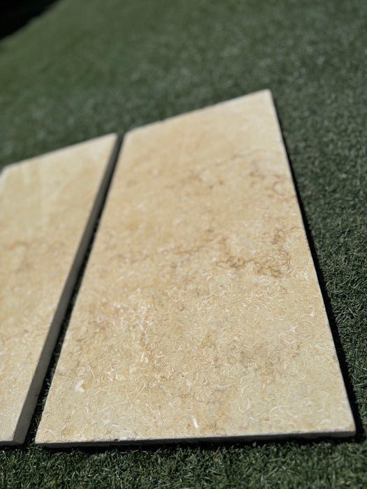 Sinai Shell Stone Tile 12 x 24 x 3/4 Tumbled