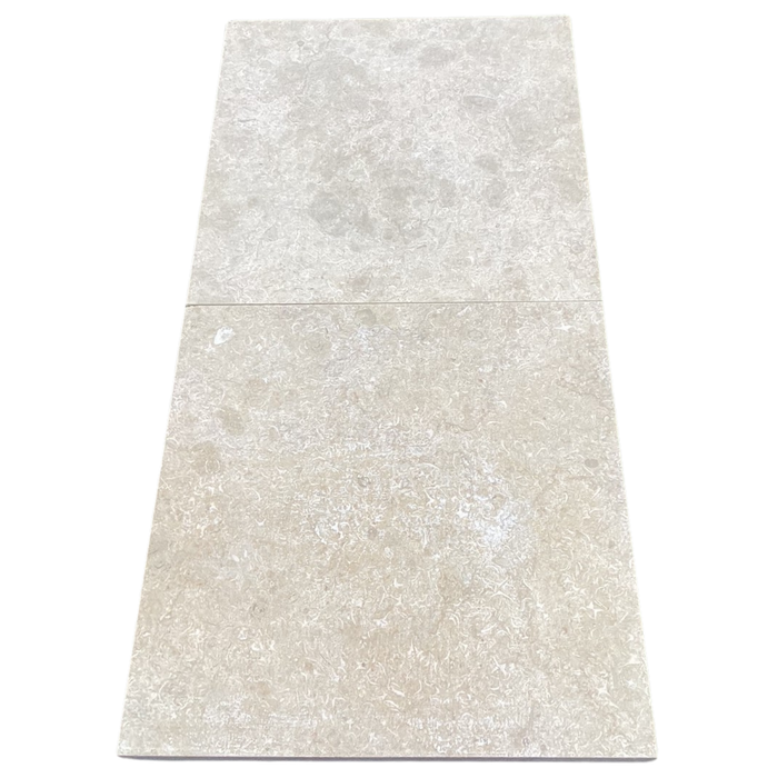Sinai Shell Stone Tile 24 x 24 Polished