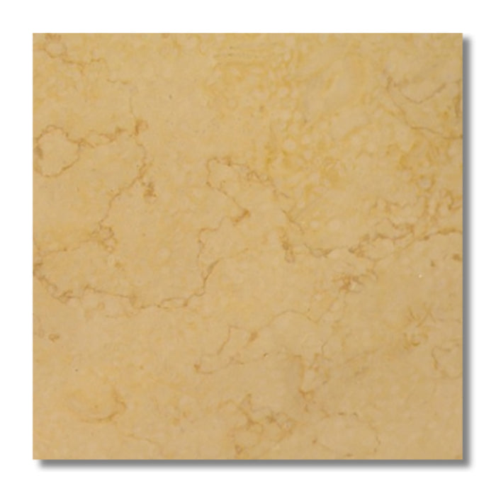 Sinai Fossil 24 x 24 Polished Tile