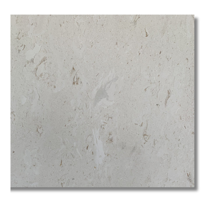 White Sea Shell 24 x 24 Honed Tile