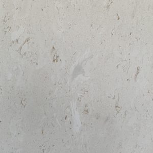 White Seashell Limestone Tile