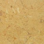 Sinai Fossil Limestone Tile